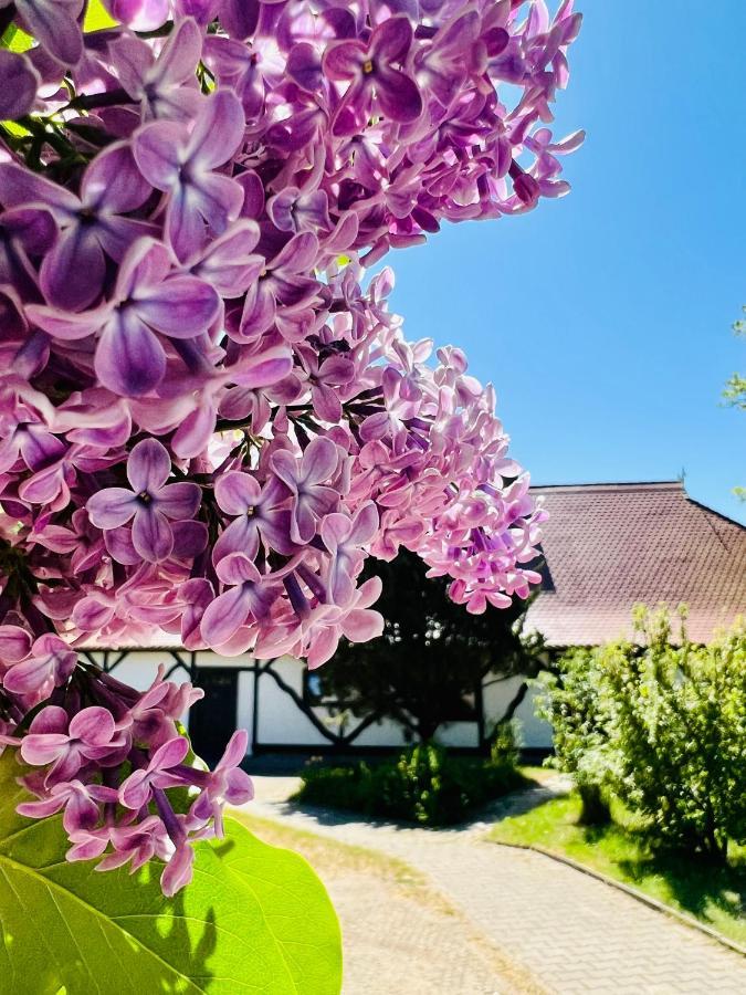 Ferienwohnung "Zur Rebe" Миддельхаген Экстерьер фото